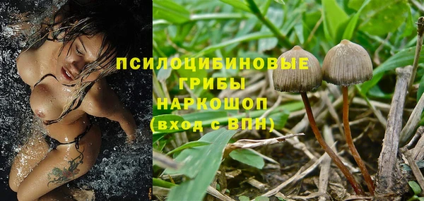 прущие крисы Михайлов